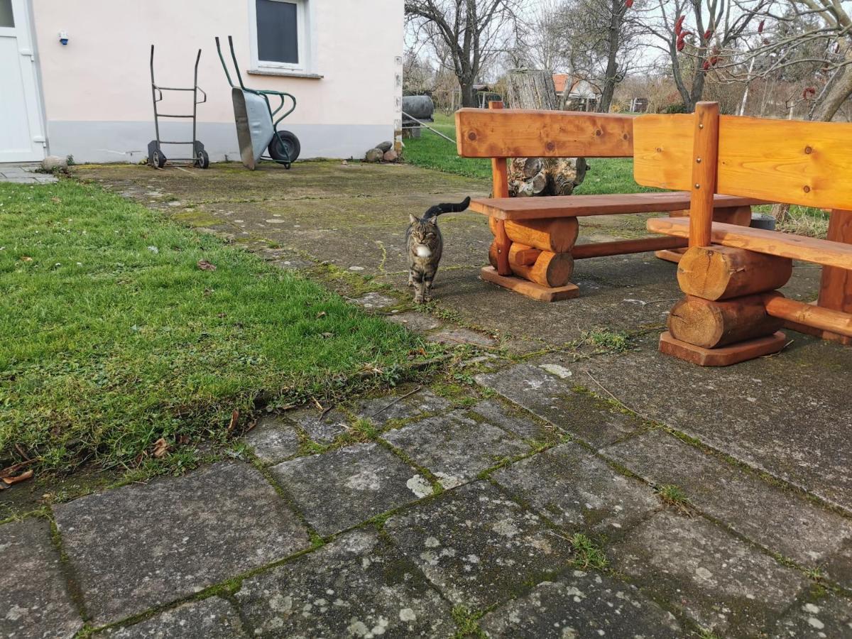 Wellness Oase Auf Dem Land Villa Buttstadt Kültér fotó